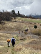 IMG_4853