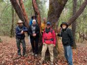 Group