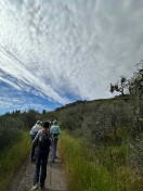 1.IMG_5778