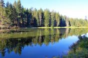 Little Hyatt Lake above Dam
