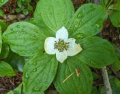 PXL_20240617_174448768.RAW-01.COVER